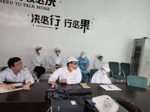 第十一事业部涂装深圳工厂成功举办技术交流活动，共促工艺革新与质量提升