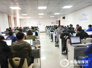元宵佳节，相聚黑马 郑州Python基础3期开班啦！